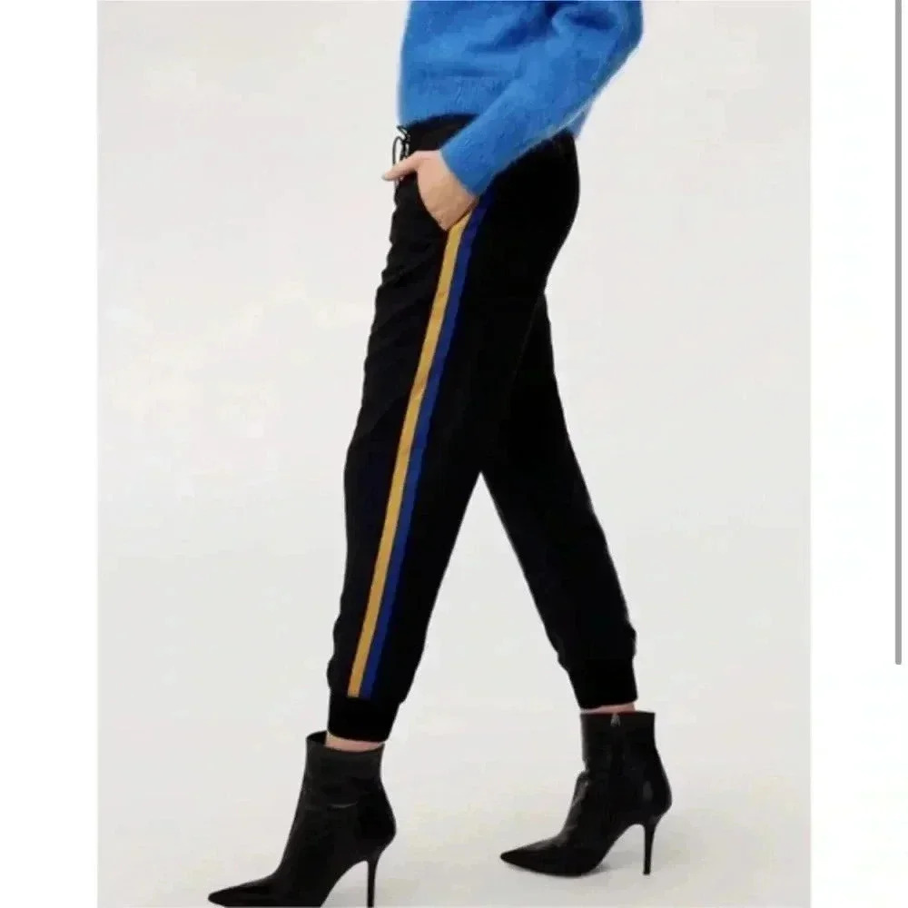 Aritzia Wilfred Buffon Jogger Size Xxs